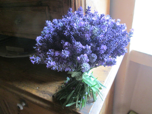 Levandulová samostojící — foto 5