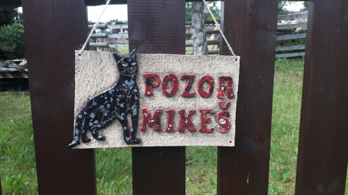 Pozor kočka — foto 2