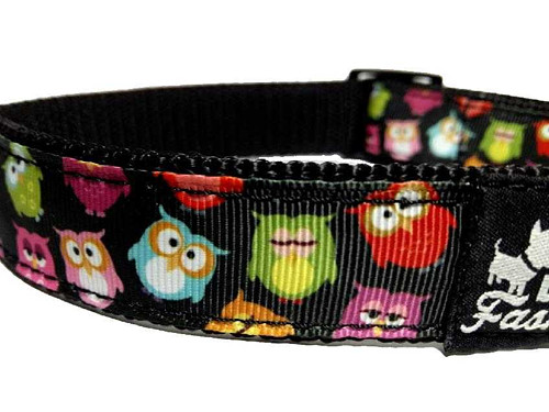 Obojek Owl — foto 3