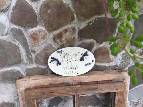 Cedulka Vážky a Motýli — foto 2