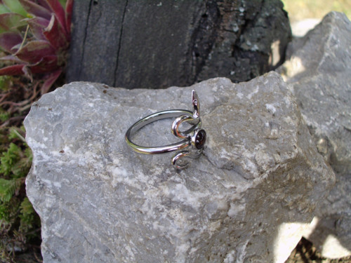 Had — foto 3