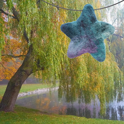 Hvězdička — foto 5