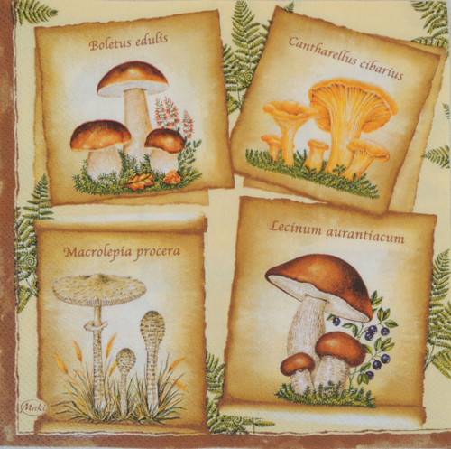 Ubrousek na decoupage houby — foto 2