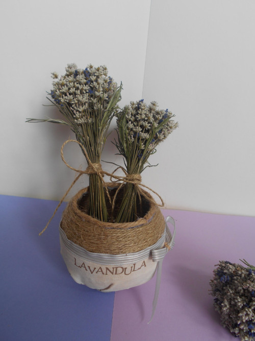 Levandule bílá sušená - sleva — foto 2