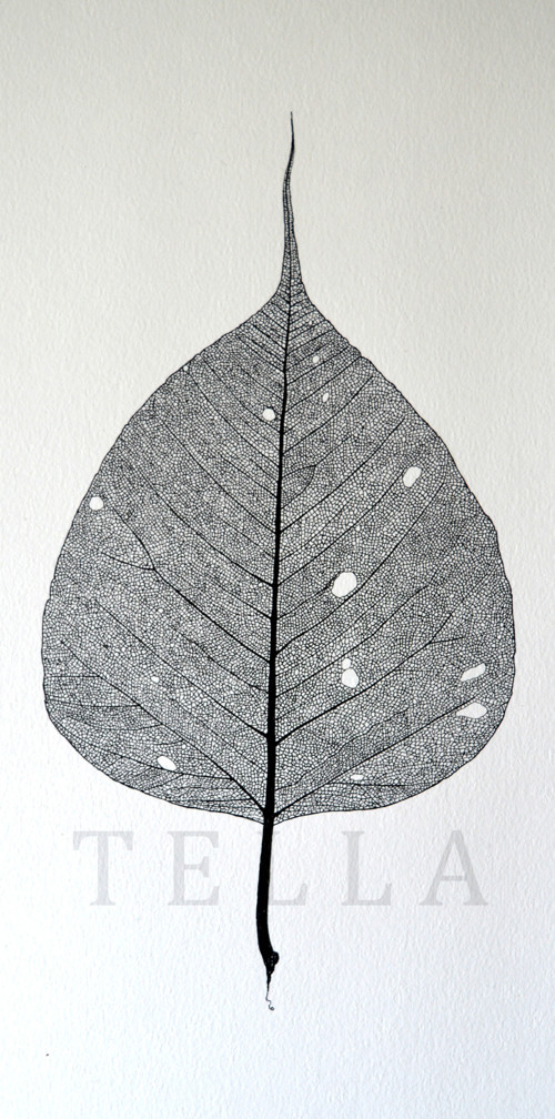 Bodhi Tree - originál — foto 2