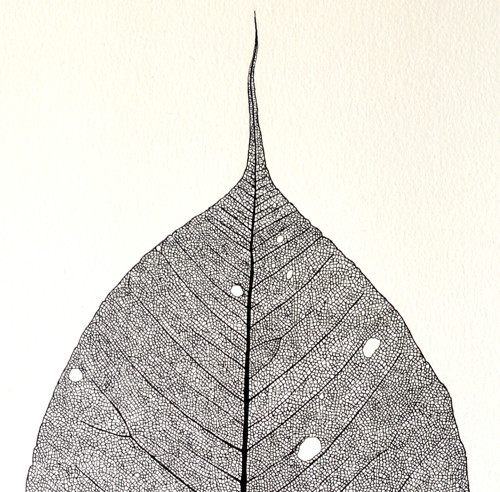 Bodhi Tree - originál — foto 5