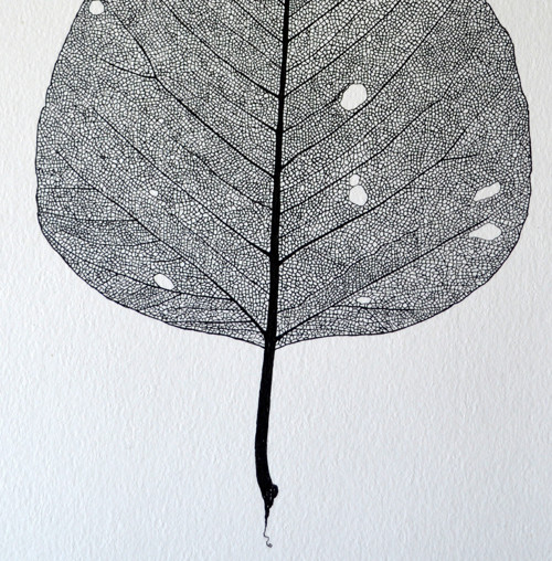 Bodhi Tree - originál — foto 6