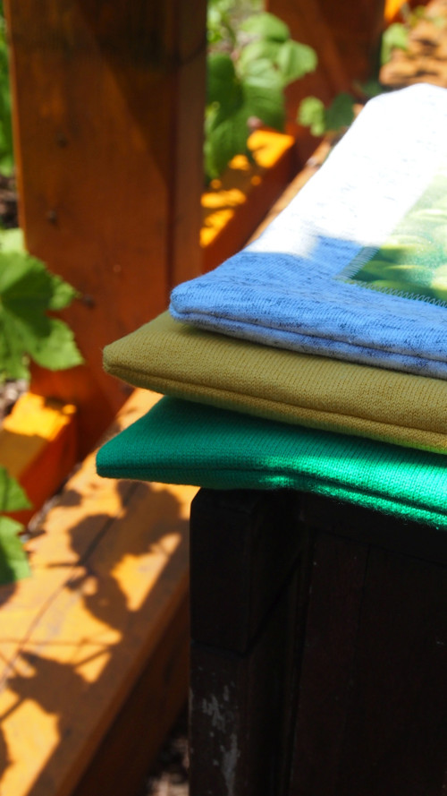 Nepostradatelná .... růže — foto 6