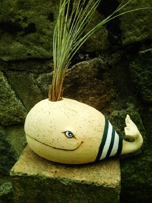 Modrá velryba — foto 2