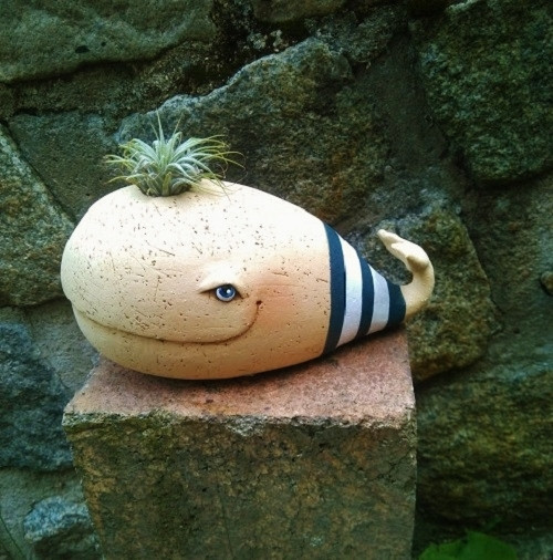 Modrá velryba — foto 2