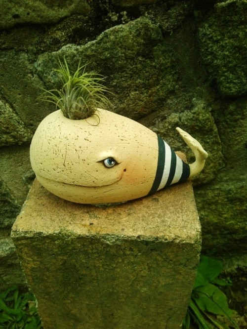 Modrá velryba — foto 2