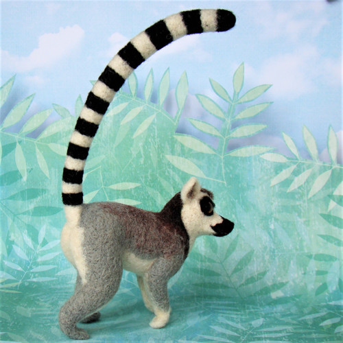Madagaskar — foto 4