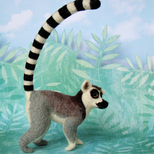 Madagaskar — foto 5