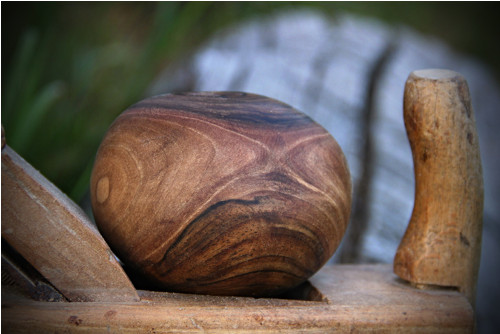 Ořechové hladítko — foto 6