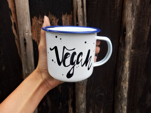 Plecháček Vegan — foto 2