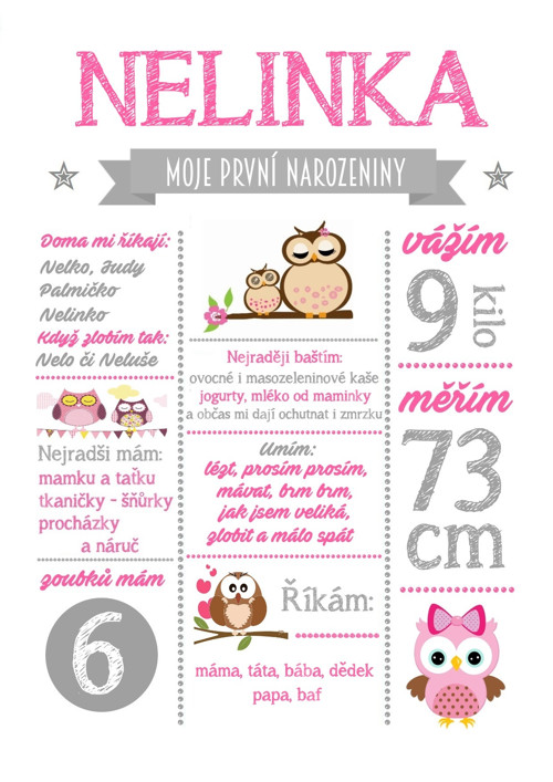 Plakát - můj první rok — foto 2