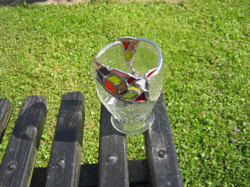 Ovíněný tužkovník 2 — foto 3