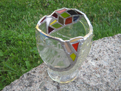 Ovíněný tužkovník 2 — foto 6