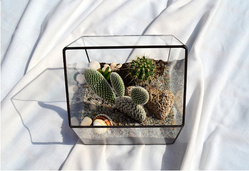 Florarium "Domeček" — foto 2