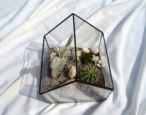 Florarium "Domeček" — foto 5