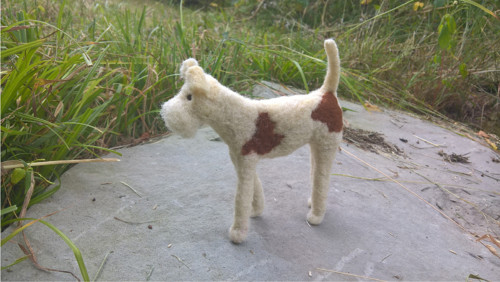Foxík — foto 3