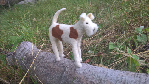 Foxík — foto 4