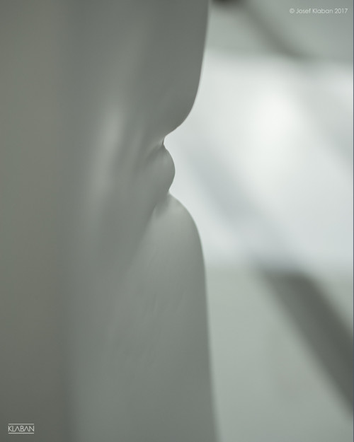 Kovaná váza "PASSION II" — foto 5