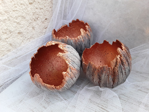 Skořápky měděnky — foto 4
