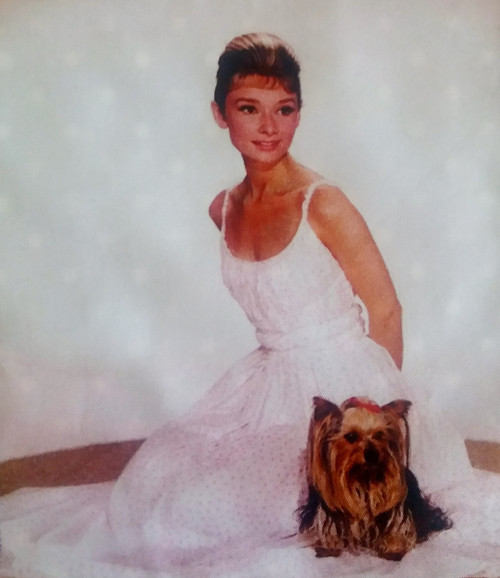 Puntíkatá taška AUDREY HEPBURN — foto 2