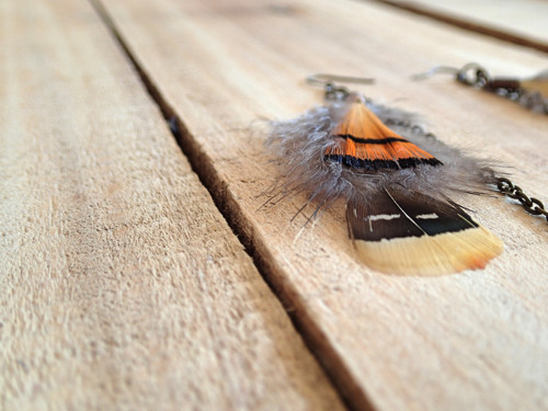 Little Indian — foto 5