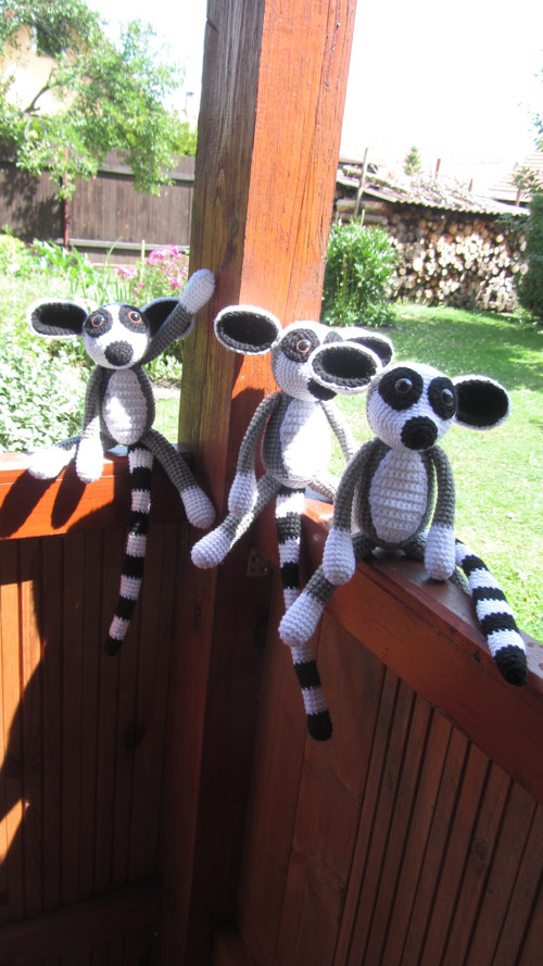 Háčkovaná partička lemurů — foto 2