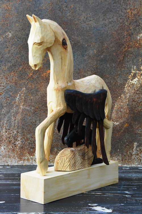 Pegasí kobylka — foto 3