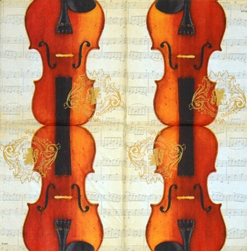 Ubrousek - housle — foto 2