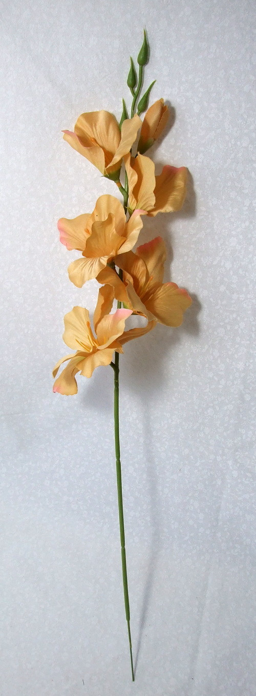 Mečík okrový — foto 2