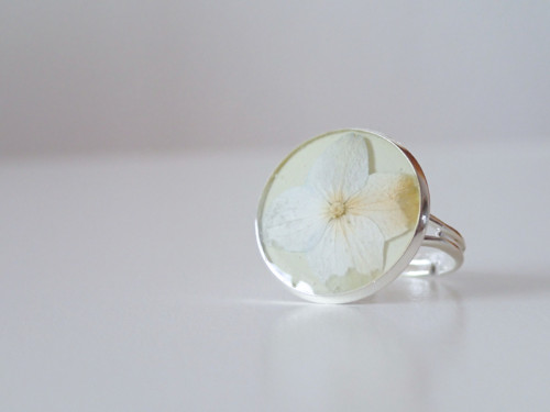 Hortensia invisible - sleva — foto 3