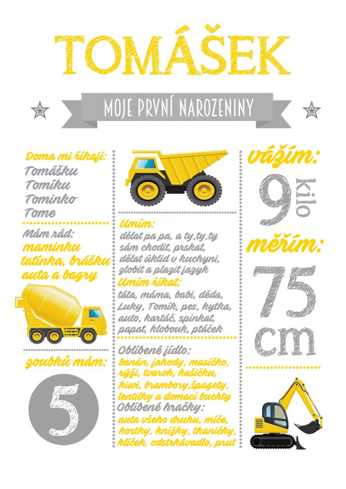 Plakát - můj první rok — foto 2