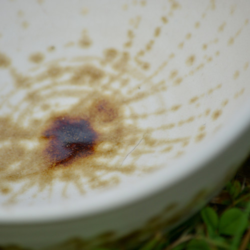 SLEVA!!! Snídaňová miska 700 ml - Vůně kávy — foto 3