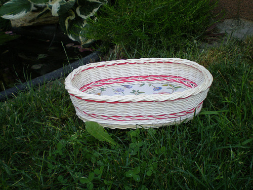 Bělená ošatka — foto 2