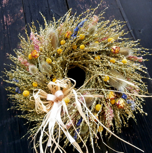 Lepidium se sluníčky... — foto 2