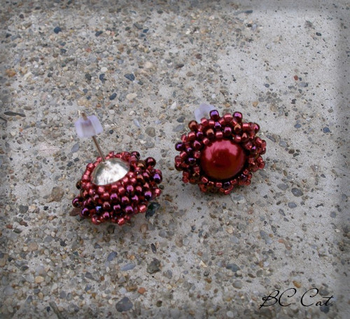 Cabernet Sauvignon — foto 2