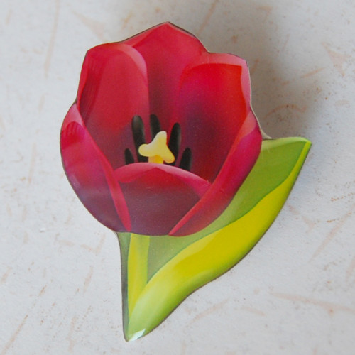 Tulipán — foto 2