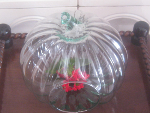 Retro florárium ve tvaru dýně — foto 3