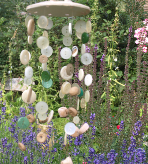 Větrohra knoflíková — foto 3