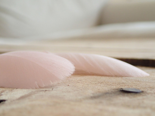 Pastel pink — foto 4
