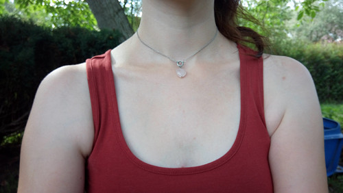 Rosae (chir. ocel, nerez. ocel) — foto 6
