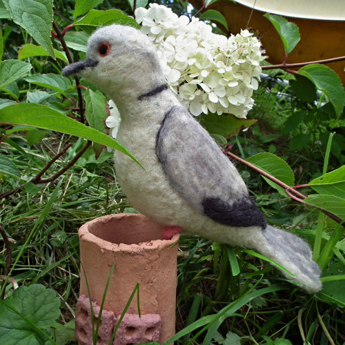 Hrdlička — foto 2