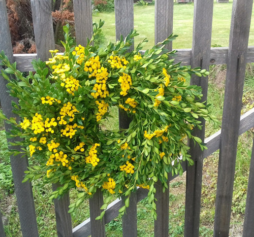Věnec buxus s vratičem — foto 2