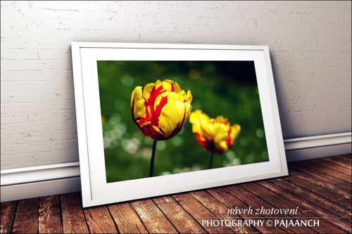 Ohniváci — foto 2
