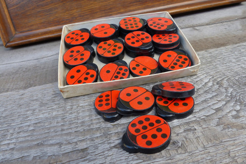 Berušky...domino — foto 4