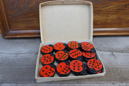 Berušky...domino — foto 6